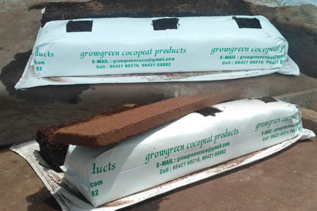 Cocopeat Manufacturer